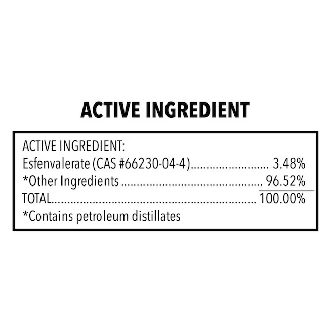 Bengal BEN 33100 2oz Concentrate Insecticide Home Insect Control Indoor, Outdoor