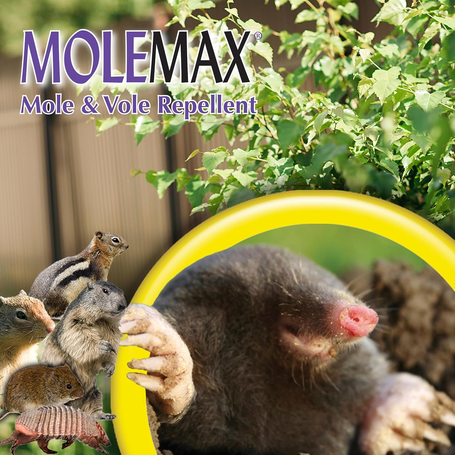 MOLEMAX Mole & Vole Repellent Granules, 10 Lbs. Ready-To-Use, Outdoor Lawn & Gar