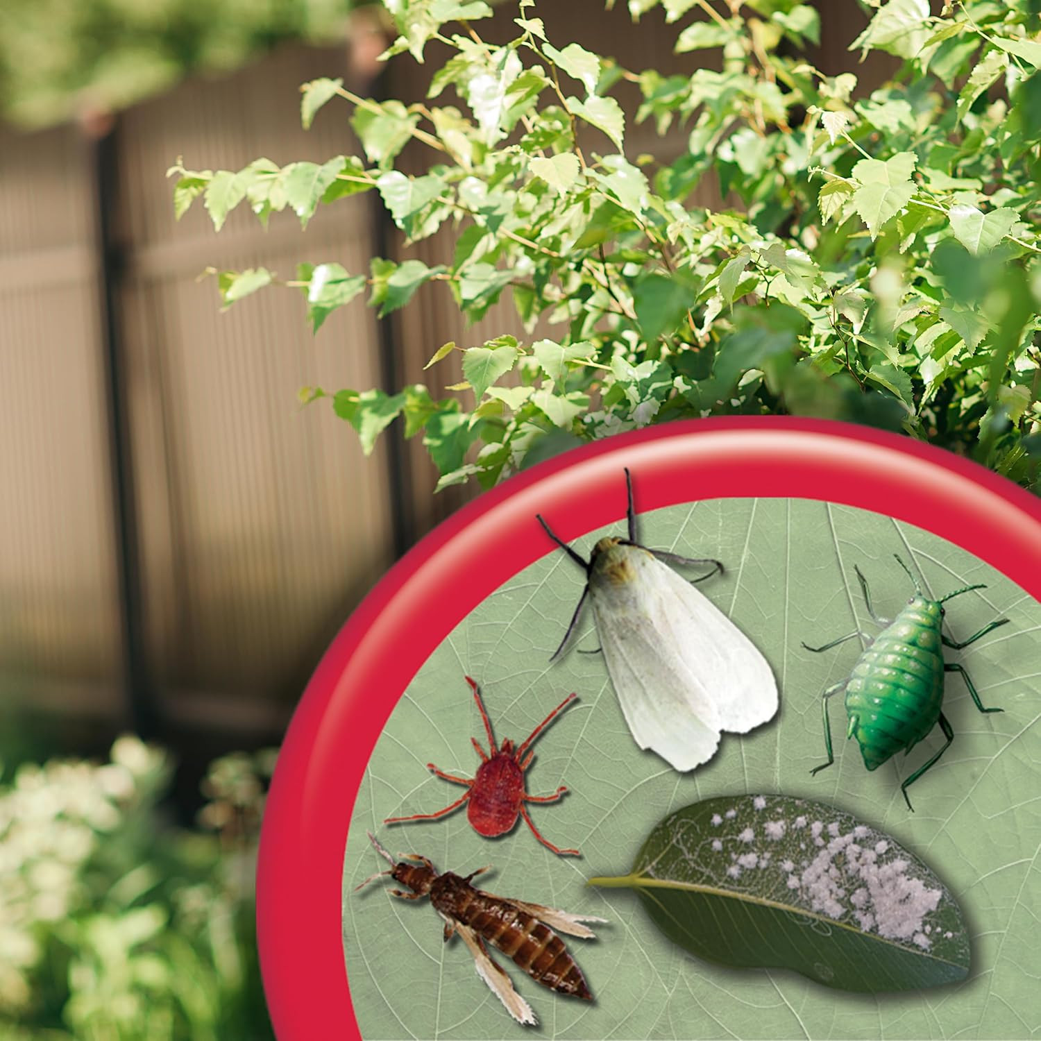 Insecticidal Soap, 32 Oz Ready-To-Use Spray Multi-Purpose Insect Control for Org