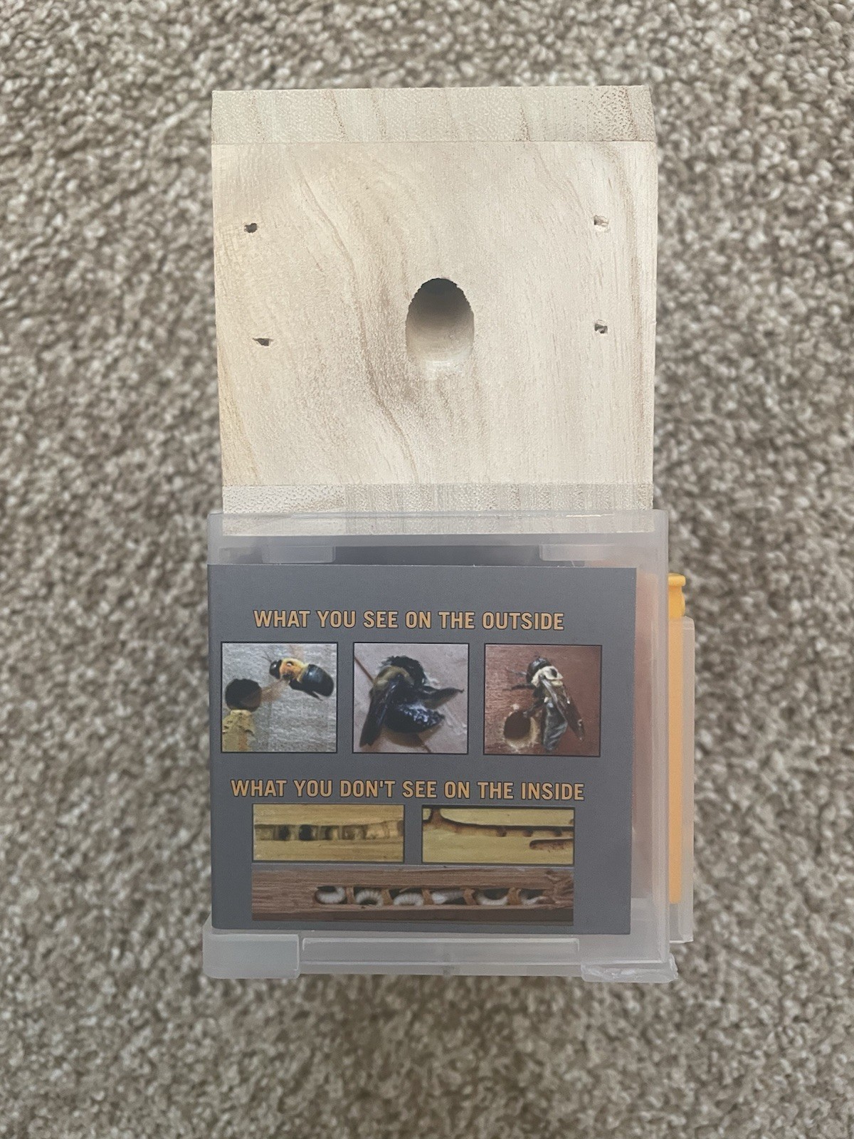 Bees ‘N Things Outdoor Hanging Carpenter Bee Trap Free Shipping Brand New