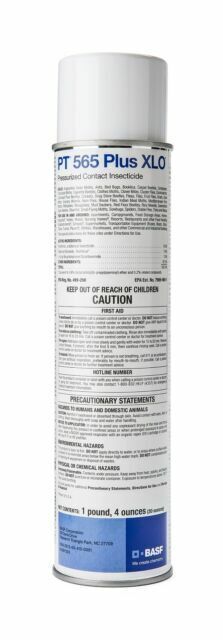BASF 565 Plus XLO Aerosol Contact Insecticide – 14 oz