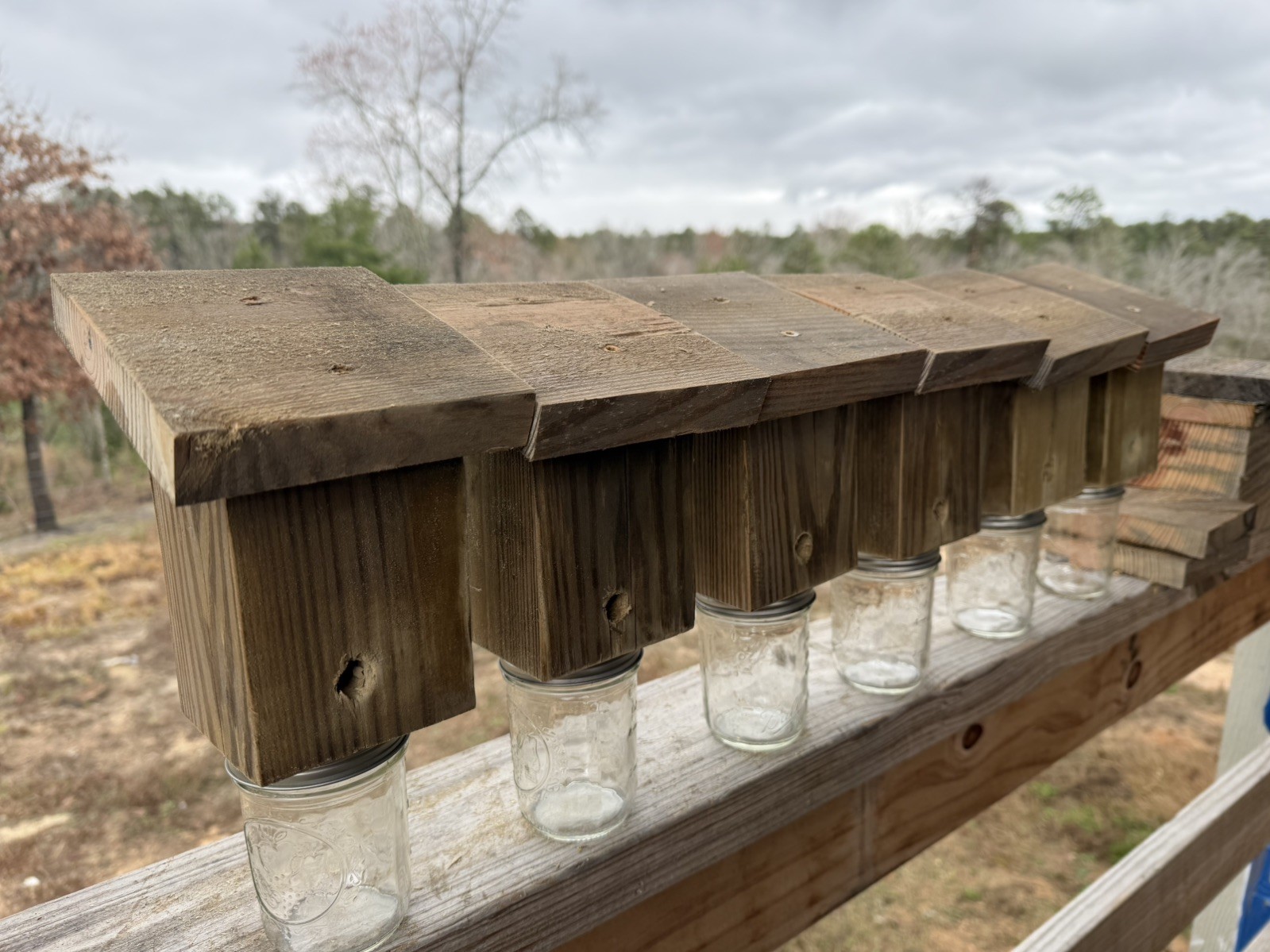Set Of 2 Carpenter Bee Traps- I Make These Traps Another Seller Is Using My Pics