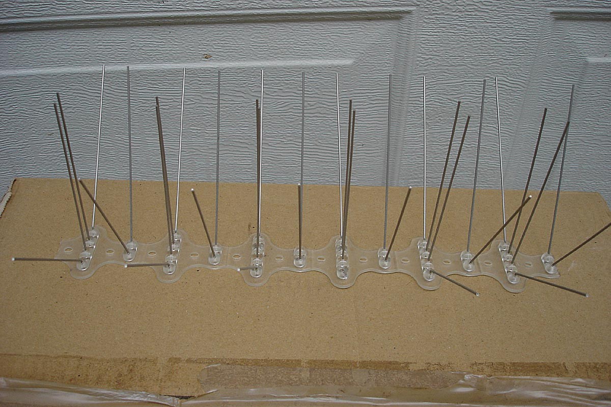 Stainless Steel Bird Spikes – New in Box – 13″ x 60 Pieces Per Box