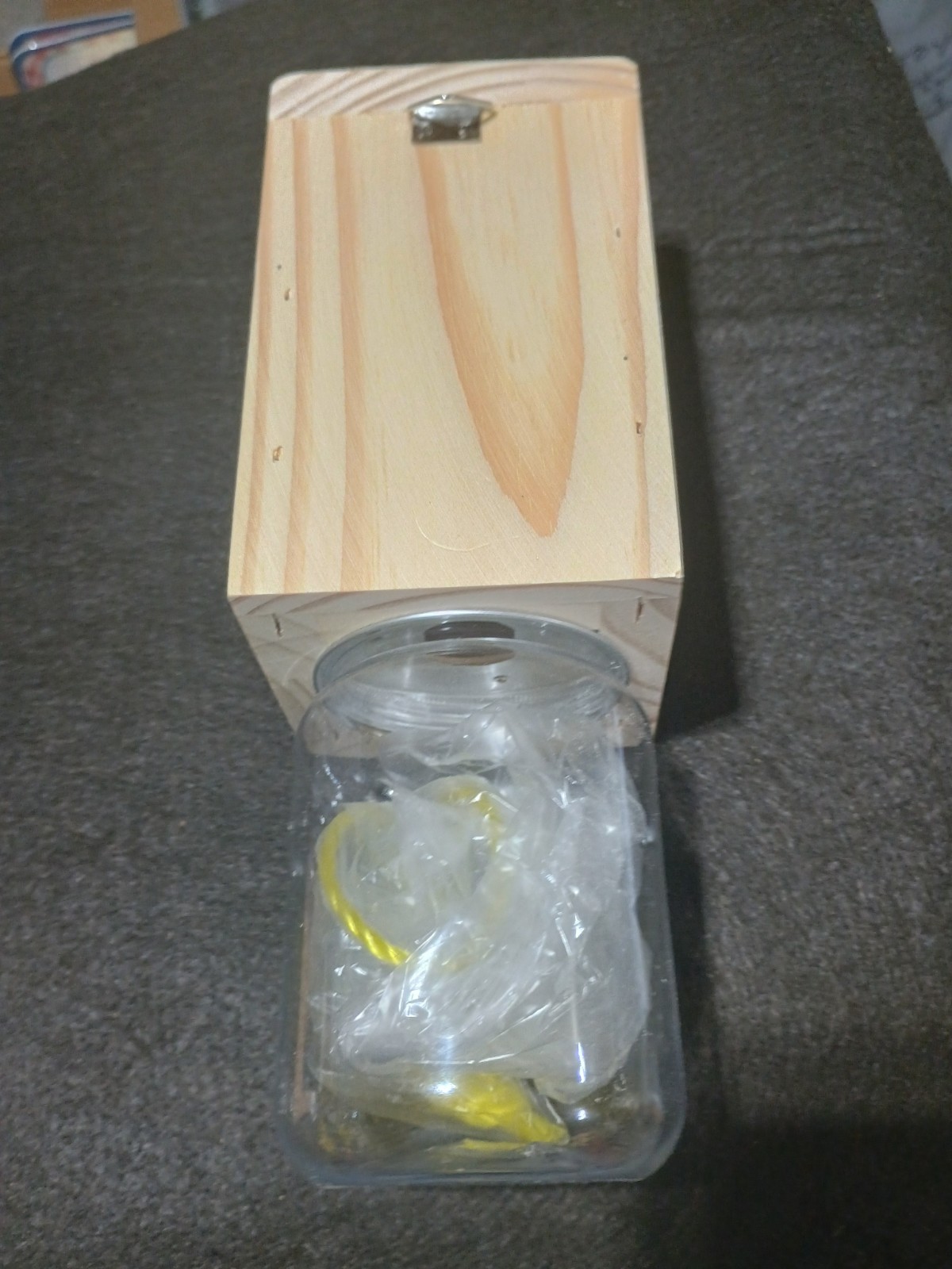 Best Bee Trap For Carpenter Bees 2 Pack