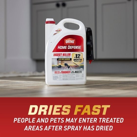 Ortho Home Defense Insect Killer for Indoor & Perimeter2 with Comfort Wand,1 gal