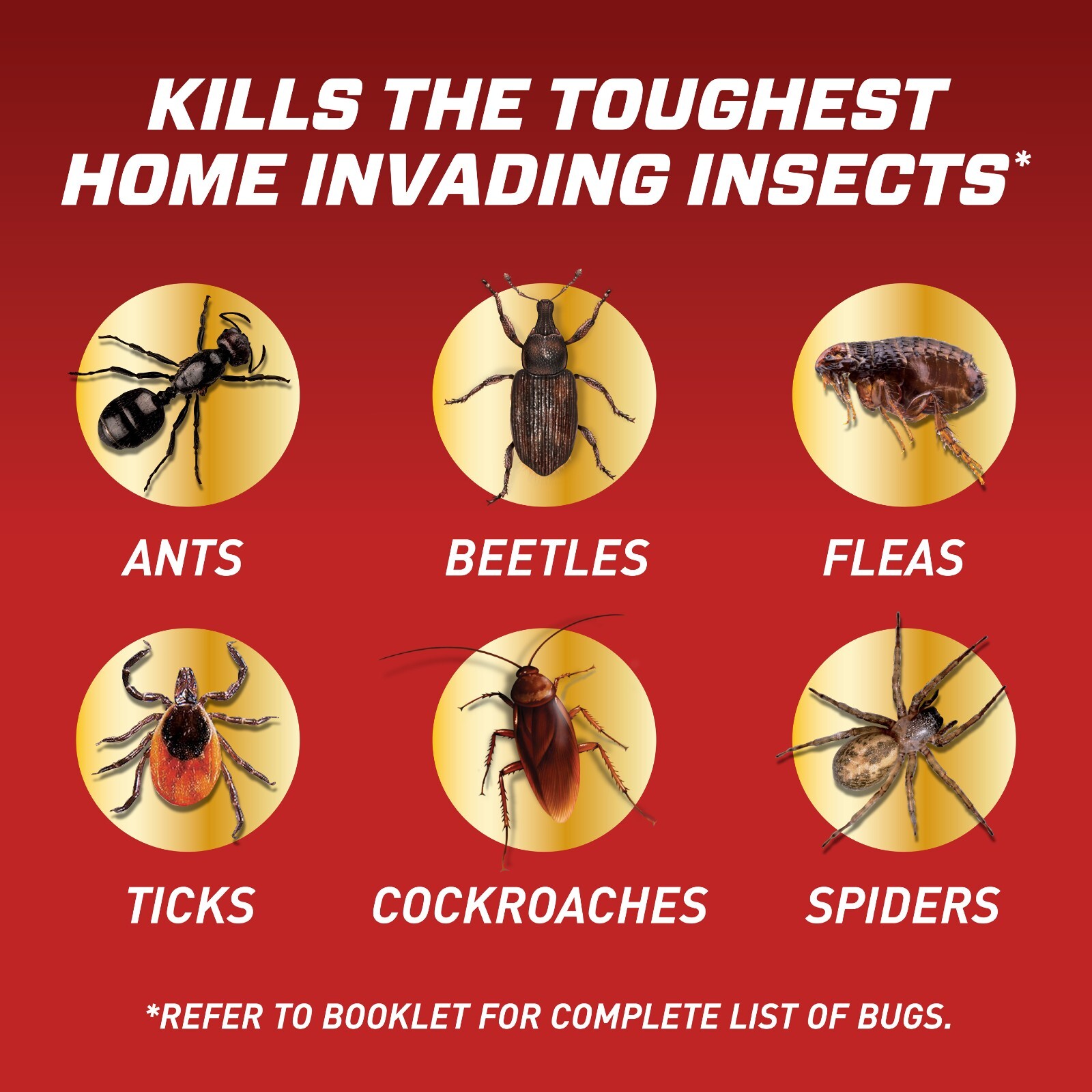 Ortho Home Defense Insect Killer for Indoor & Perimeter2, Comfort Wand, 1 gal.