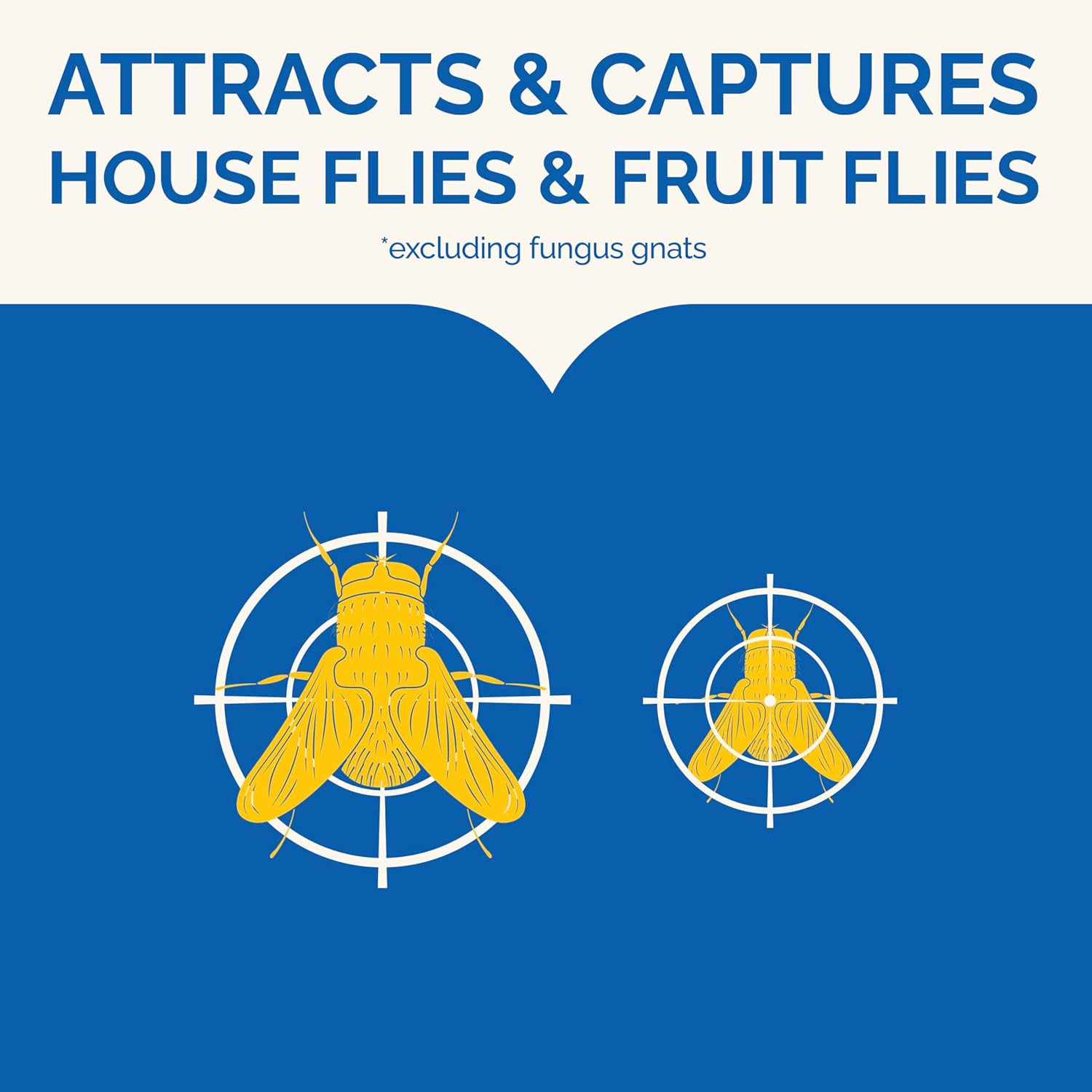 Flying Insect Trap, Discreet, Hassle-Free Trap Attracts, Captures House and Frui