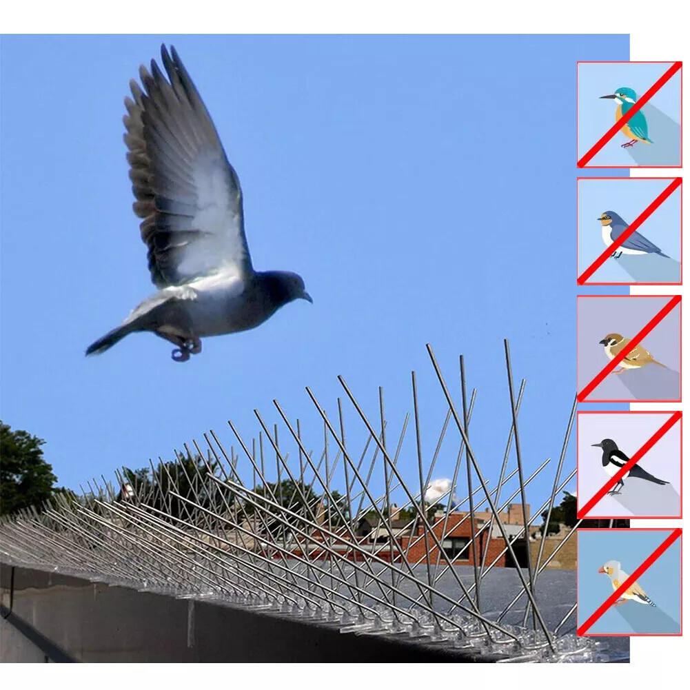 1/2/4PCS Bird Spikes for Pigeons Small Birds Anti Bird Spikes Easy to Install