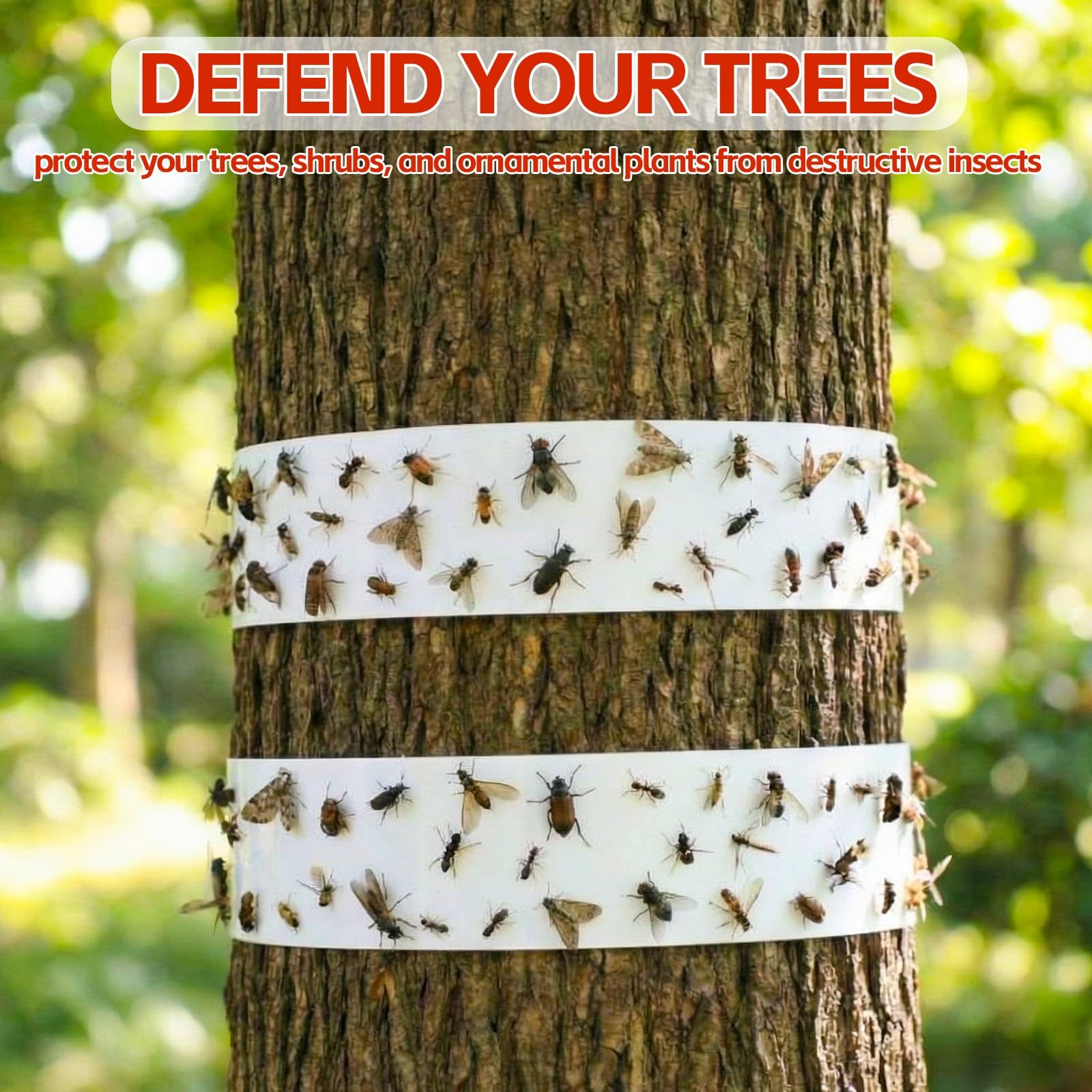 6 Rolls Spotted Lantern Fly Traps Ant Insect Barrier, 30 ft Each, Outdoor Fly…