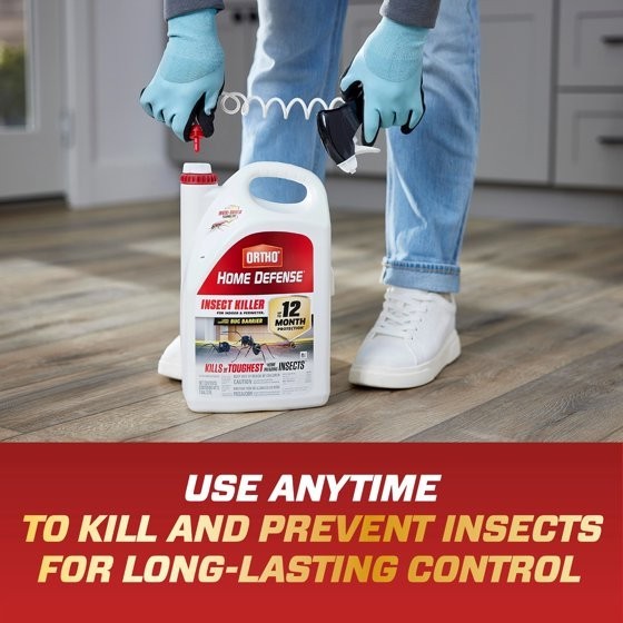Ortho Home Defense Insect Killer for Indoor & Perimeter2 with Comfort Wand,1 gal