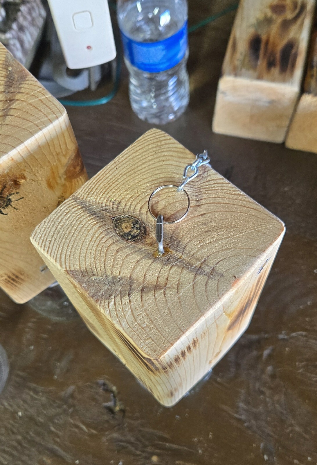 CARPENTER ‘BORE’ BEE TRAPS THAT WORK!