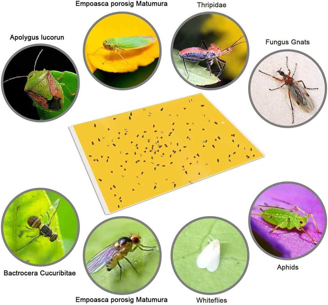 20-Pack Dual-Sided Yellow Sticky Traps for Flying Plant Insect Such as Fungus