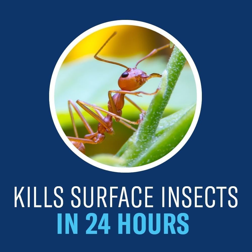 BioAdvanced Complete Insect Killer Concentrate 40oz -For Lawns, Soil & Turf Pest