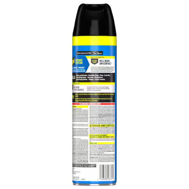 Raid Defend Flying Insect Killer, Flying Insect Spray Can, Outdoor Fresh Scent