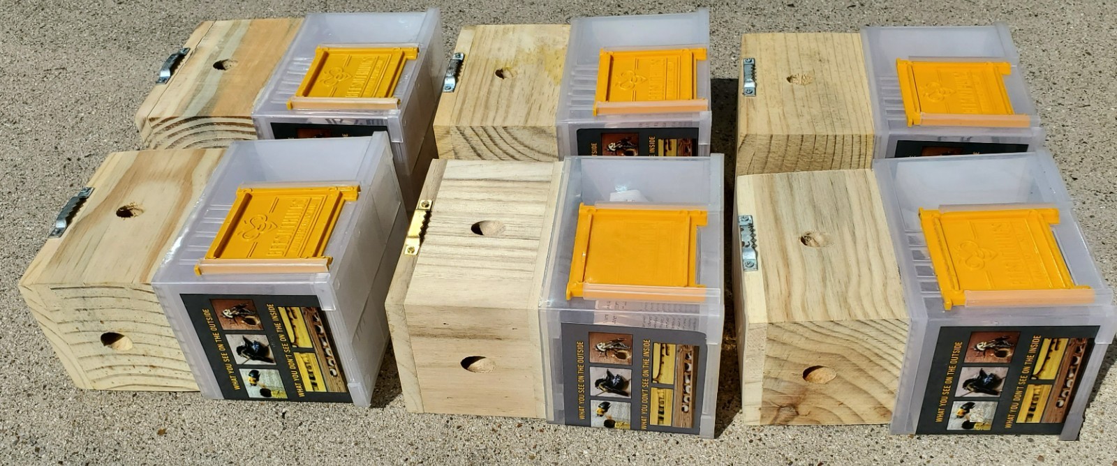 New Bees ‘N Things Outdoor Carpenter Bee Traps – Lot of 6