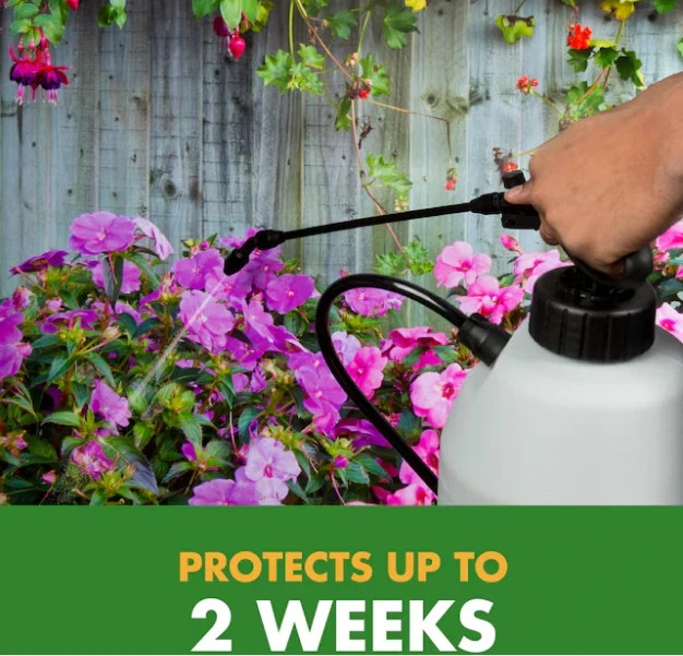 Spectracide Immunox Multi-Purpose Fungicide Spray Concentrate 16oz FREE SHIPPING