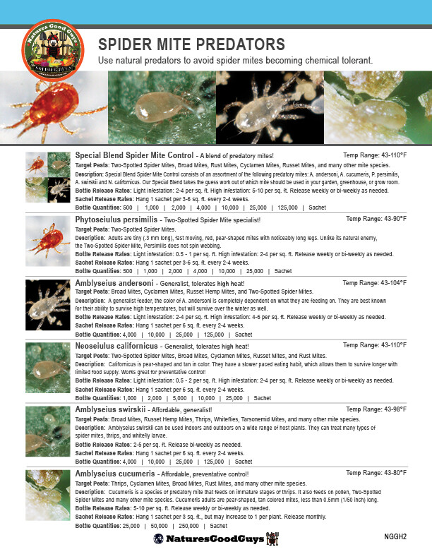 Slow Release Sachets – Amblyseius andersoni – Predatory Spider Mite Control