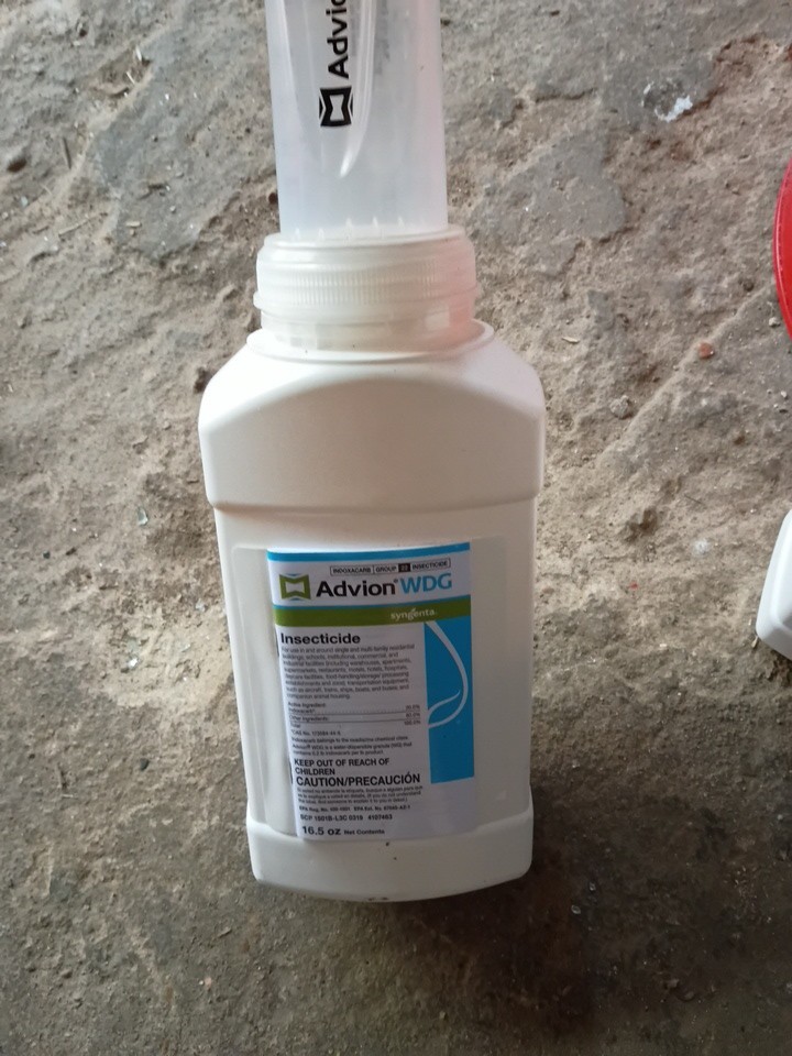 Syngenta Advion WDG 16.5 oz Insecticide Ants Cockroaches Beetles Centipedes Flea