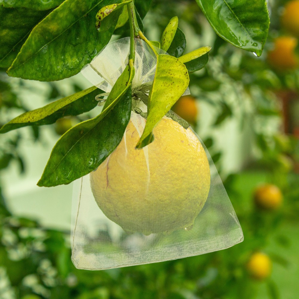50Pcs Reusable Organza Fruit Mesh Bags Light Green Drawstring Netting Pouches