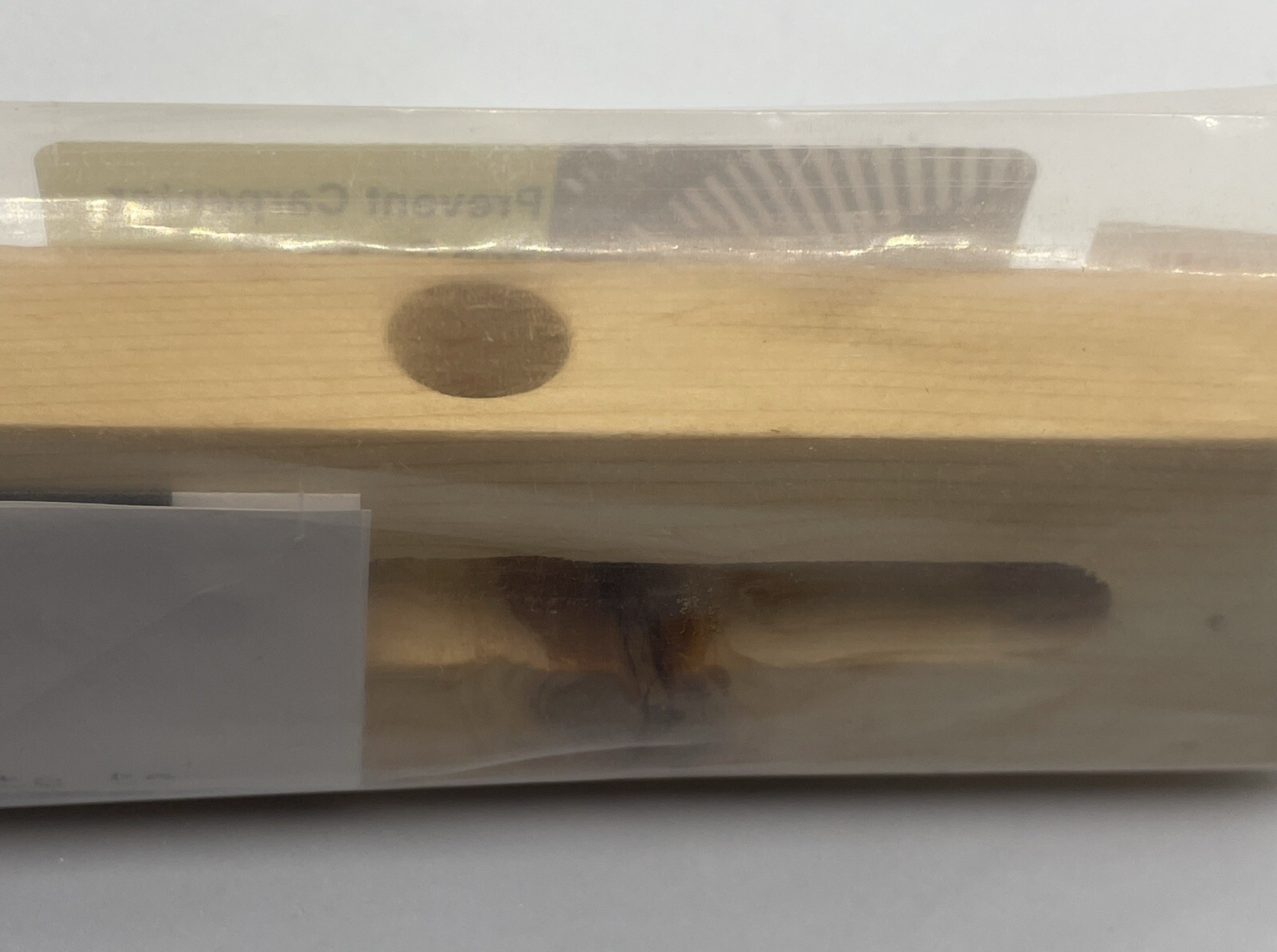 Carpenter Bee Coffin – Mini Trap 12” x 1.5” x 0.75” Wood Strip **NEW SEALED**