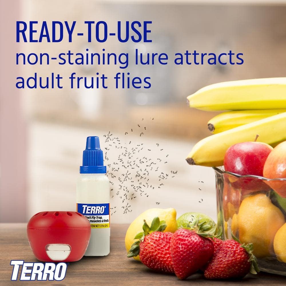 Indoor Fruit Fly Trap (4-Count)