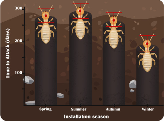 20 oz Termidor Foam Termite Ant CONTROL Insectide BASF Termiticide NO Ship to NY