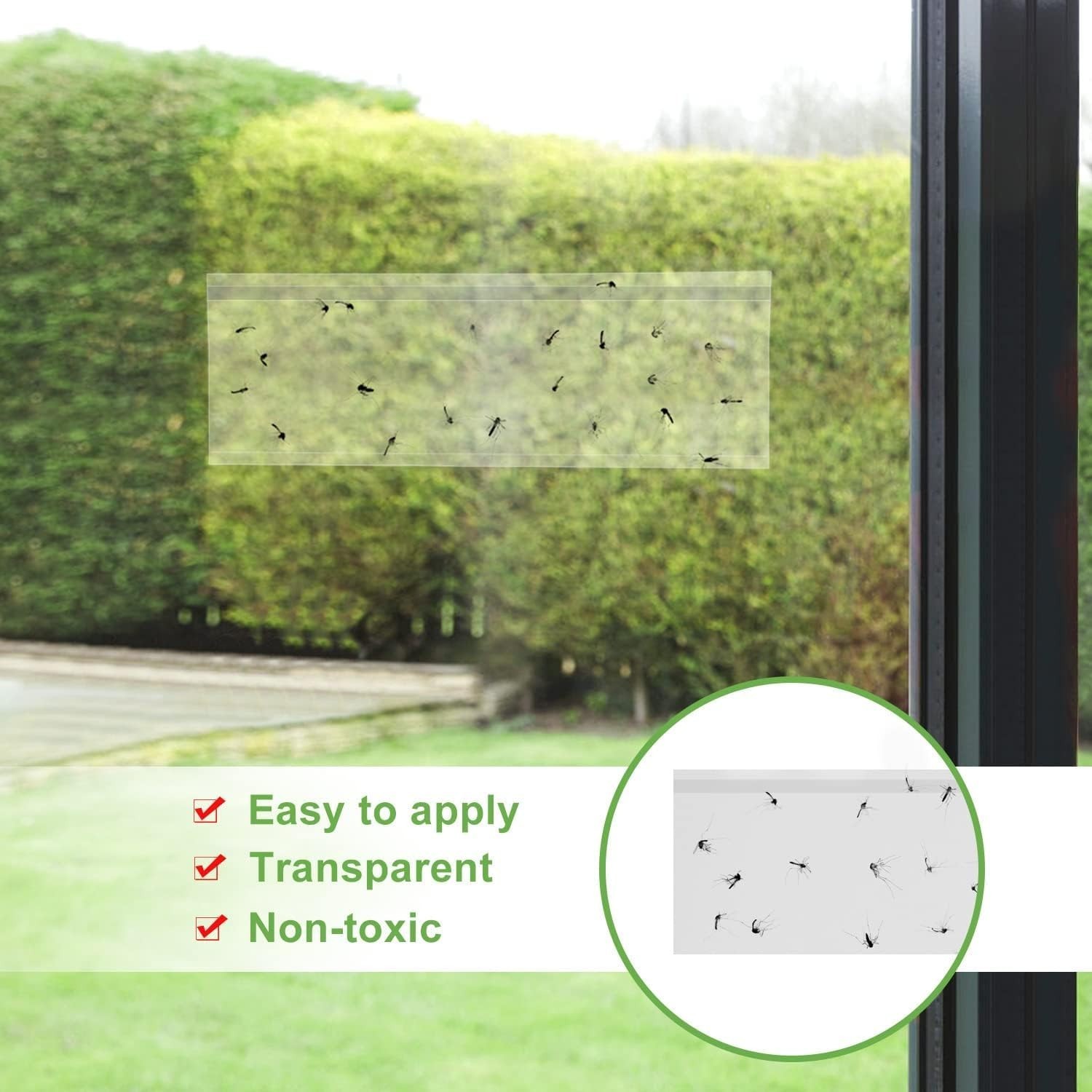 35XL Fruit Fly Traps – Crystal Clear, Non-Toxic & Efficient for Indoors