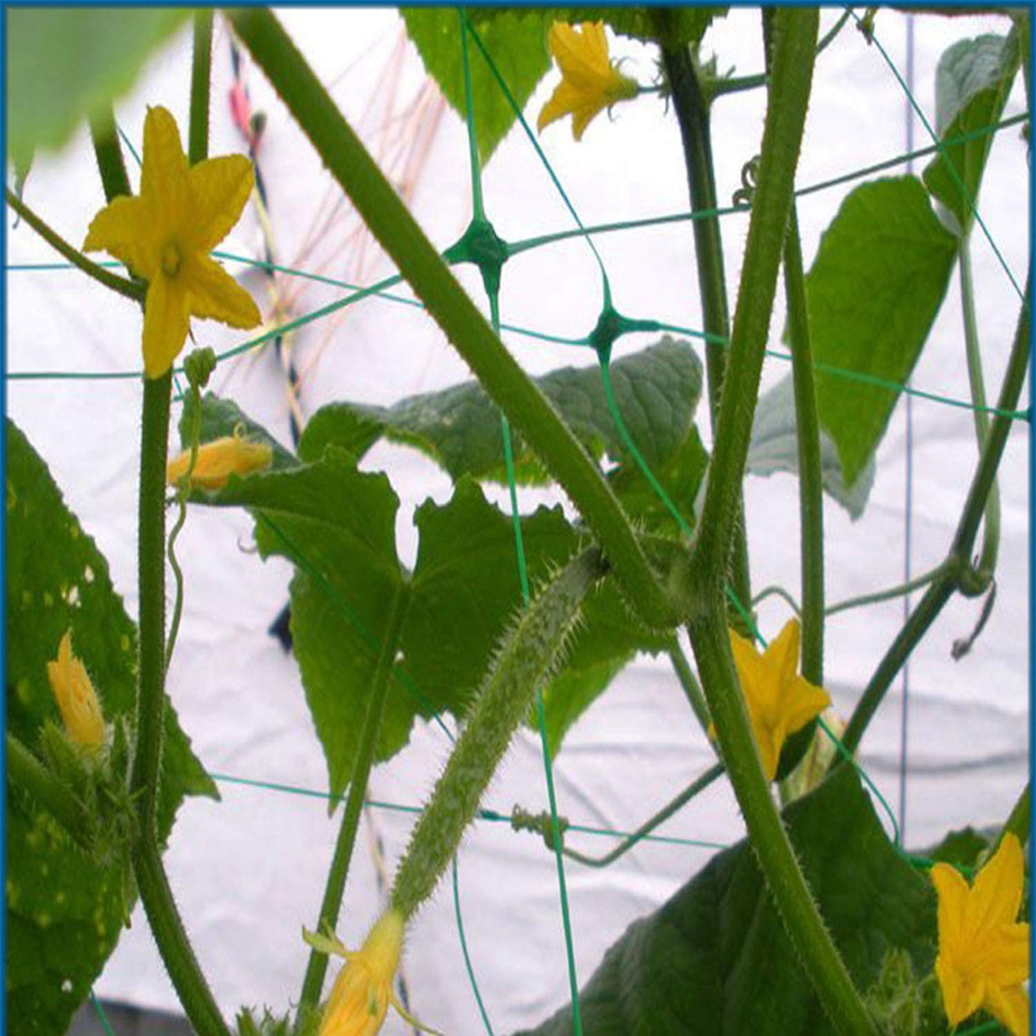 Green Garden Trellis Netting 5×100 ft Heavy Duty Polypropylene Plant Support …