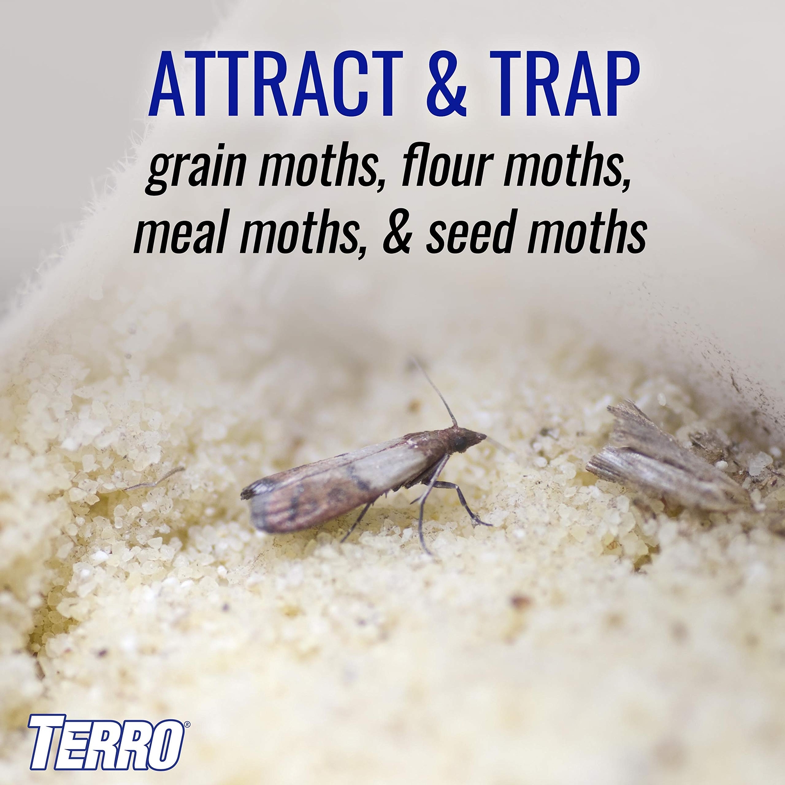TERRO Pantry Moth Trap 2 pk T2900