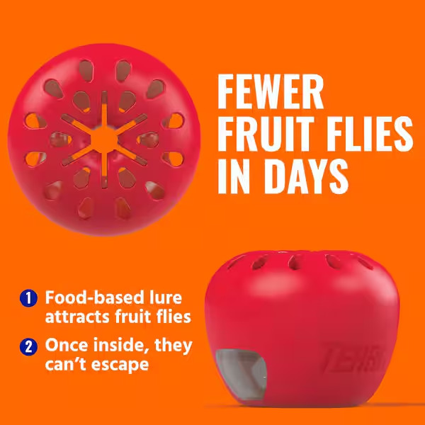 Indoor Fruit Fly Trap, (2-count) , Terro Traps, In Built With Window Sinks 2Pack