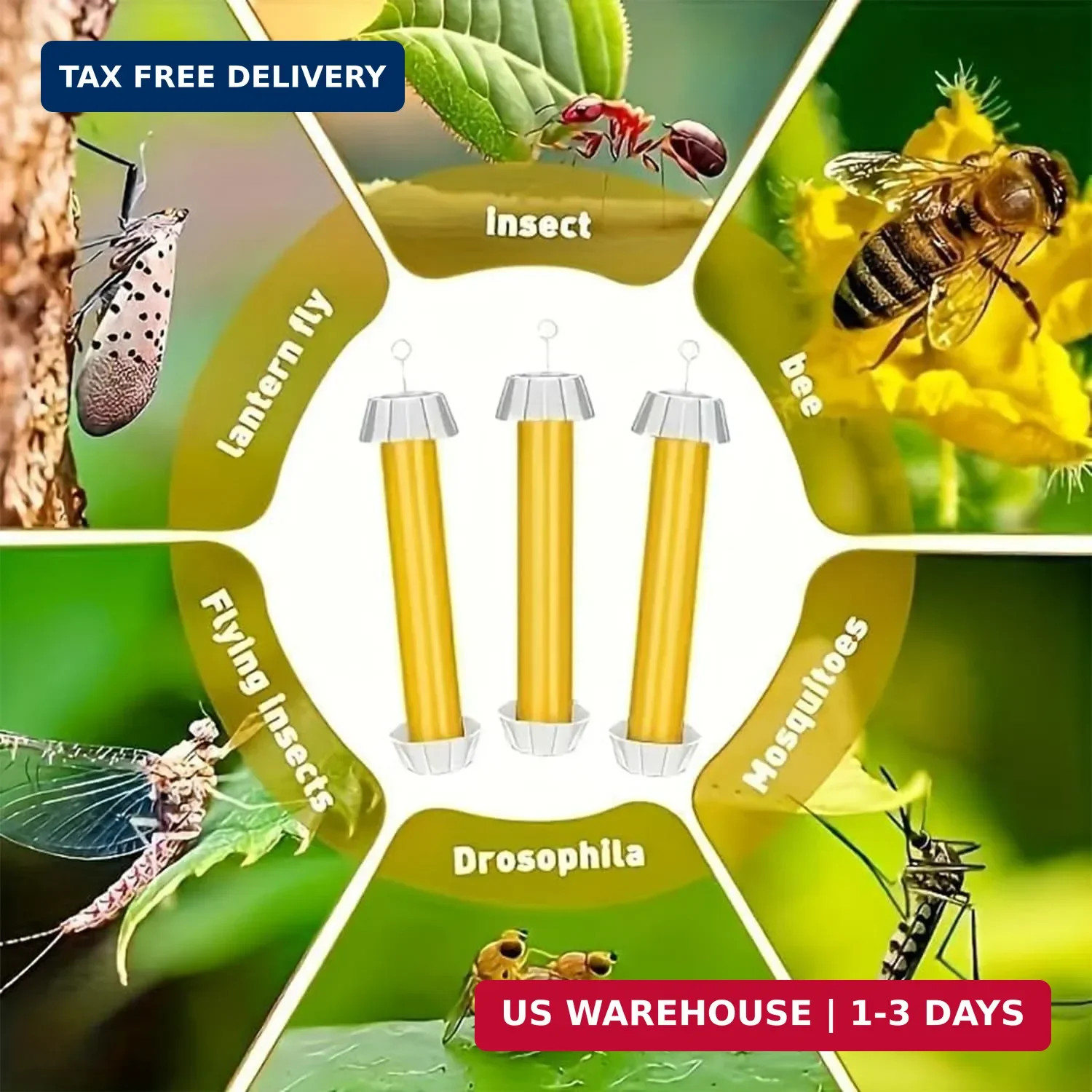 1 PCS Fly Trap Fly Stick Indoor Outdoor Long Lasting Adhesive Fly Catcher with H