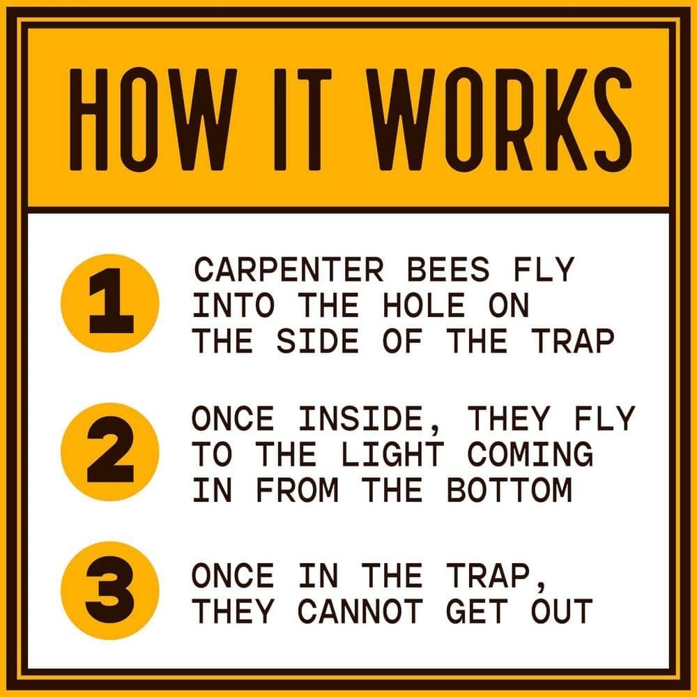 Bees N Things Outdoor Carpenter Bee Hanging Insect Trap with 15 ft. Coverage