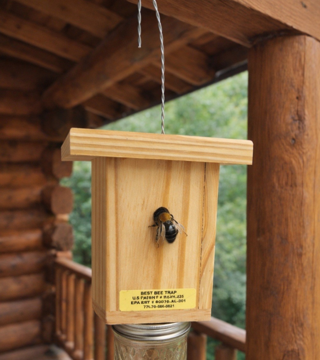 Best Carpenter Bee Trap Set Of 2 PRESSURE TREATED Handmade