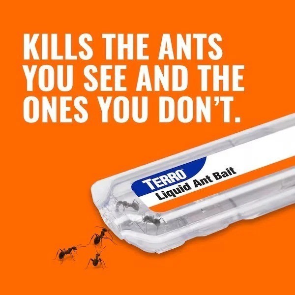 TERRO Liquid Ant Killer Bait Outdoor Indoor Tray Traps Ready To Use T300 6PK NEW