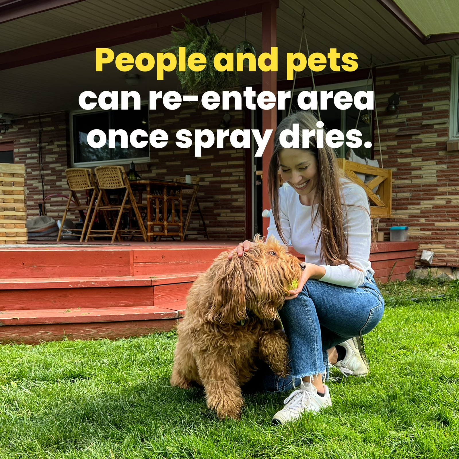 Sunday Dandelion Doom Lawn Safe Weed Killer 1 Gallon Selective Herbicide Covers