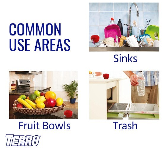 TERRO Indoor Fruit Fly Trap with Built in Window 2 Traps + 90 day Lure Supply
