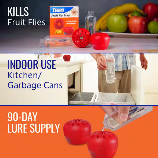 Indoor Fruit Fly Trap, (2-count) , Terro Traps, In Built With Window Sinks 2Pack