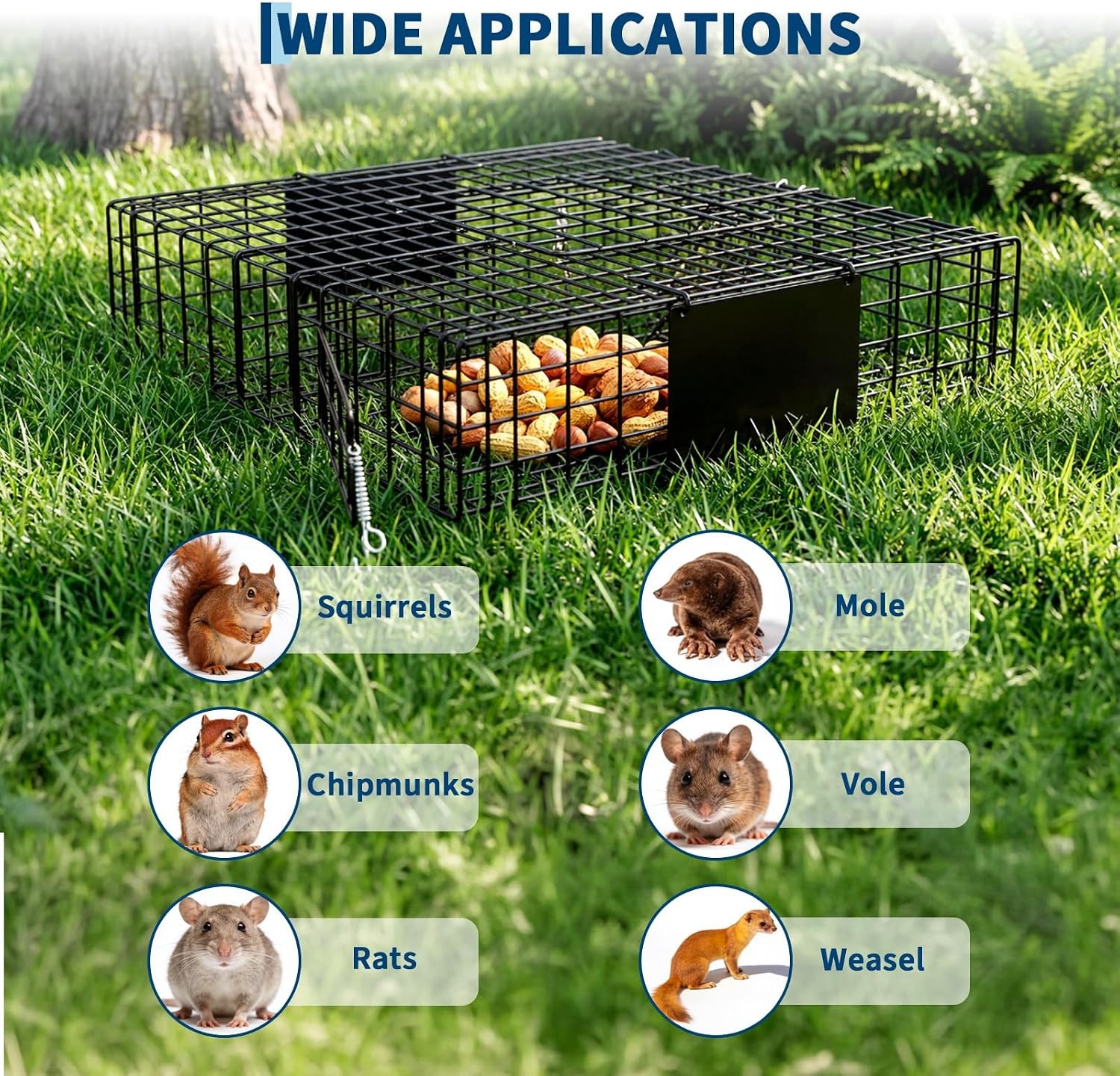 24″ Squirrelinator Squirrel Chipmunk Metal 2 Door Trap Cage Square Black