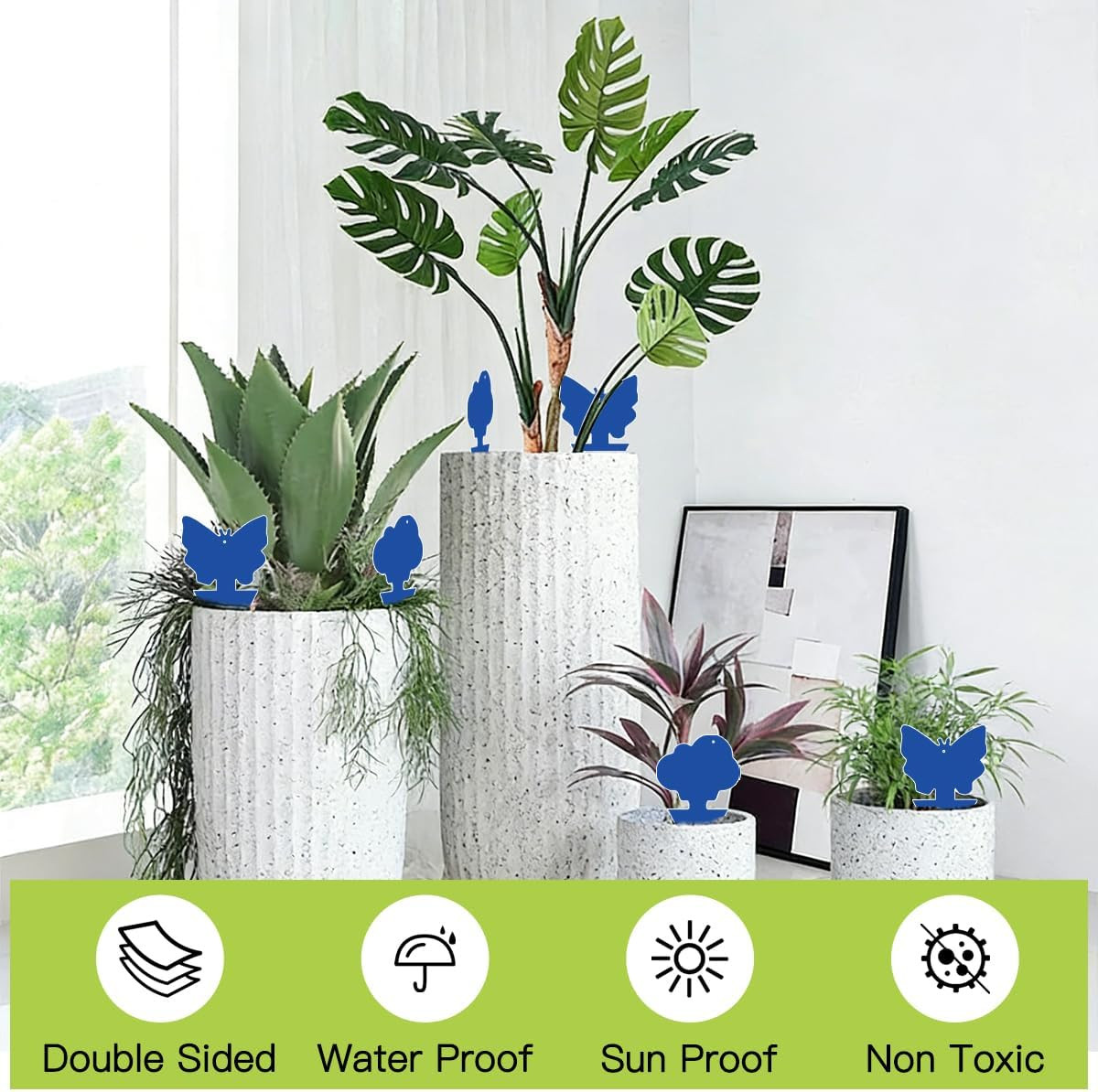 100 Pcs Sticky Traps for Fungus Gnat (Plants), Fruit Fly, Whitefly, and Fly, Yel
