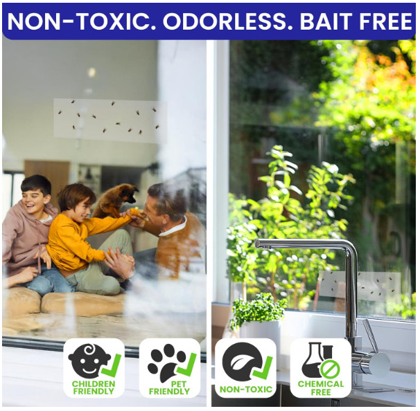 50 Pack Window Fly Traps Sticky Clear Non-Toxic Indoor Fruit Gnat Housefly Trap