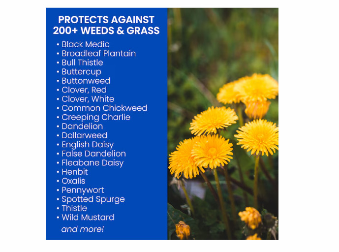 BioAdvanced Southern 32 oz Pre-Emergent Lawn Weed Killer Concentrate