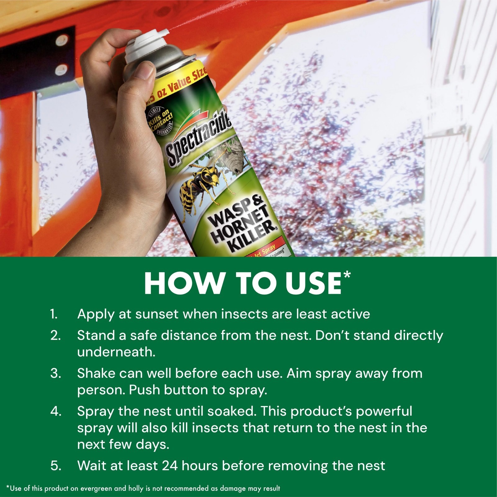 Spectracide Wasp & Hornet Killer Aerosol Spray, Twin Value Pack, 18.5 Ounce