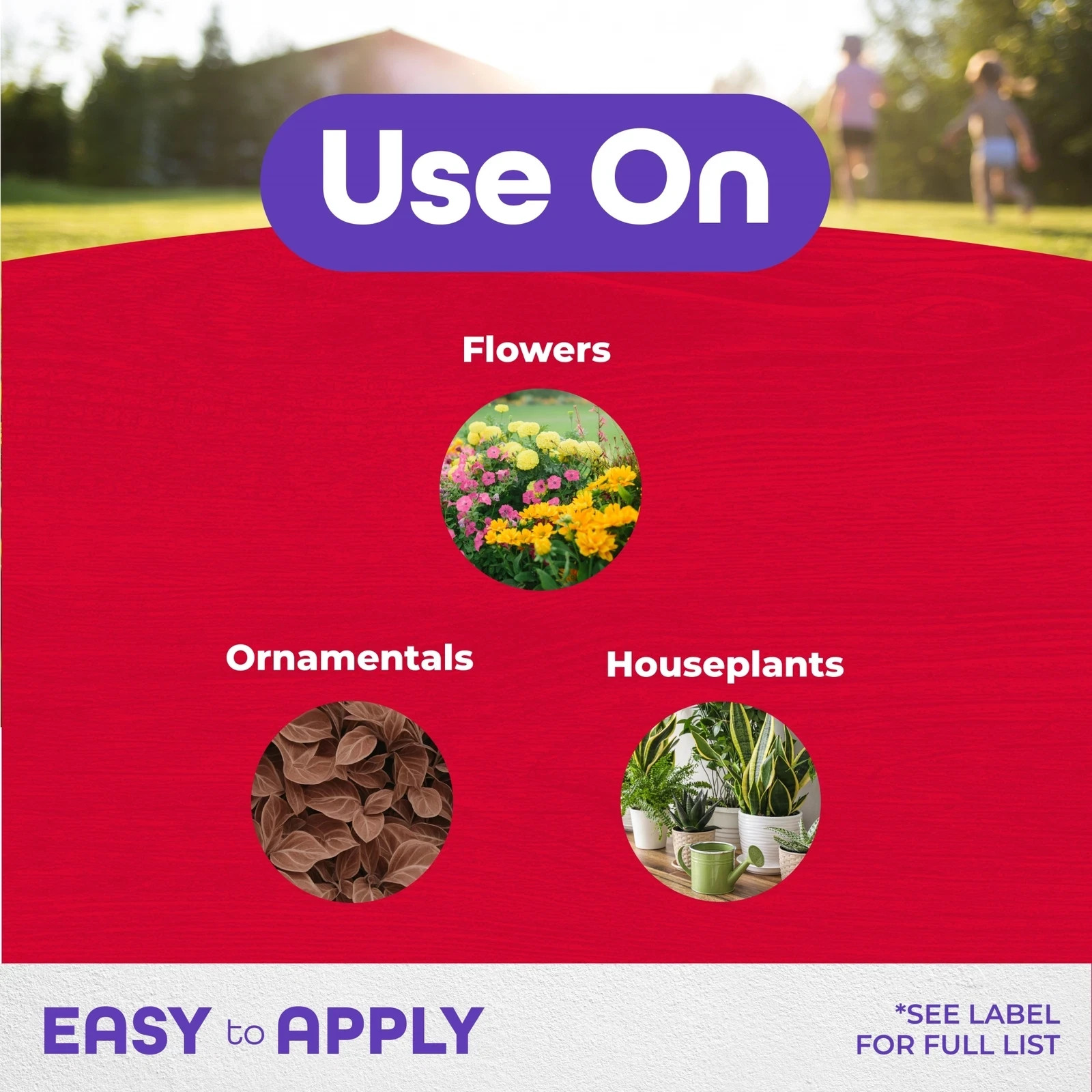 Bonide Systemic Insect Control Ready to Use Granules, 1 pound