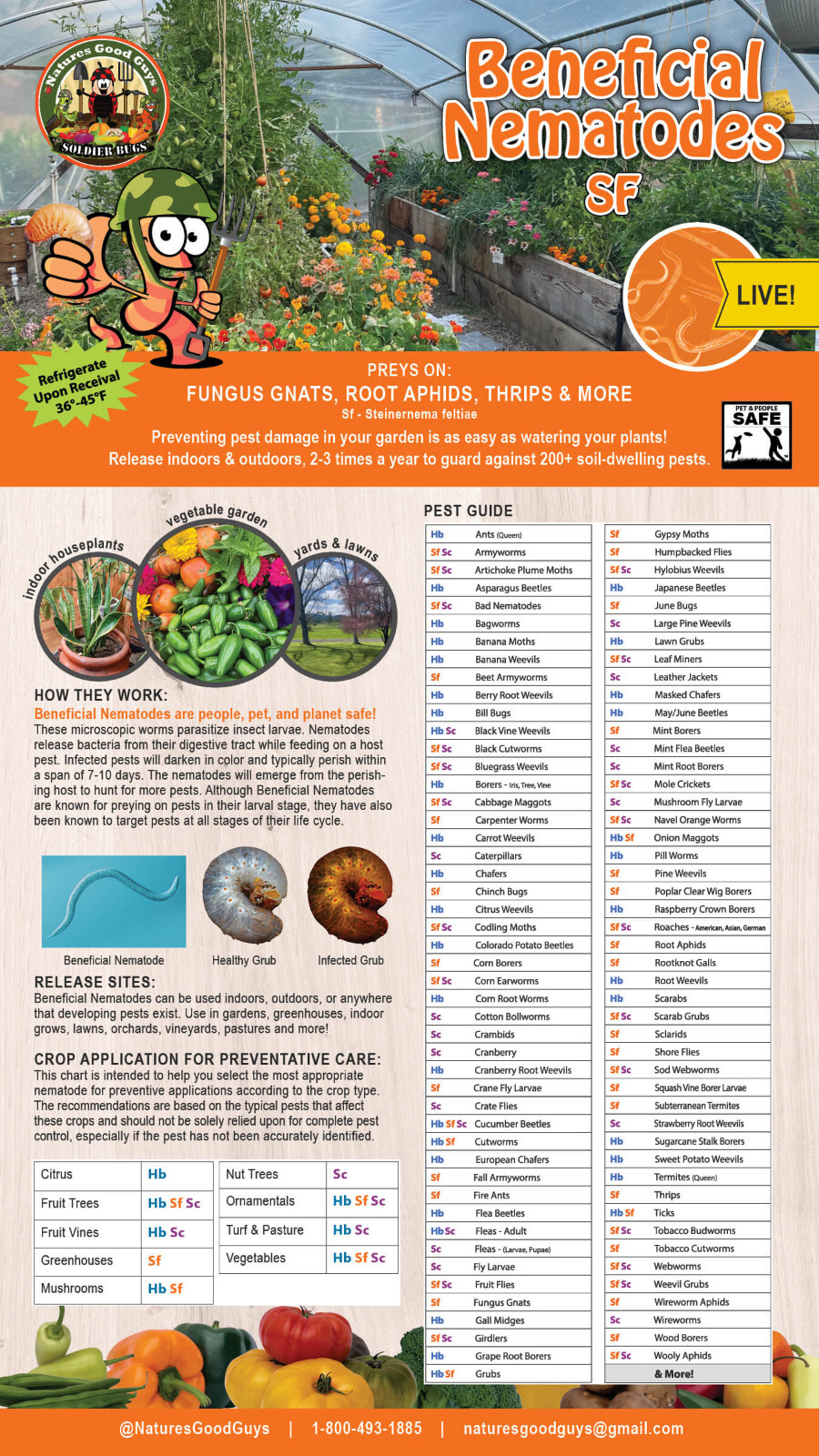 25 Million Beneficial Nematodes SF – Targets Fungus Gnat, Root Aphids & More