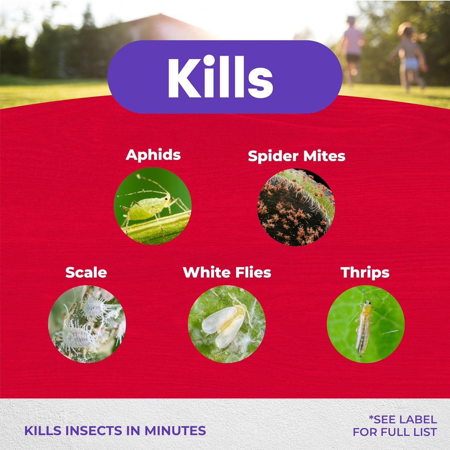 Insecticidal Soap, 32 Oz Ready-To-Use Spray Multi-Purpose Insect Control for Org