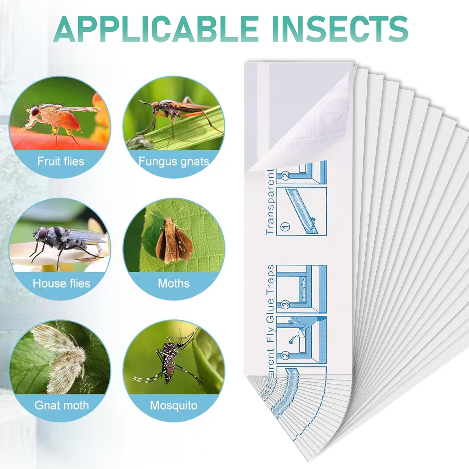 60 Pcs Window Fly Traps for Indoor/Outdoor Insect Bugs Fly & Fruit Fly Glue S…