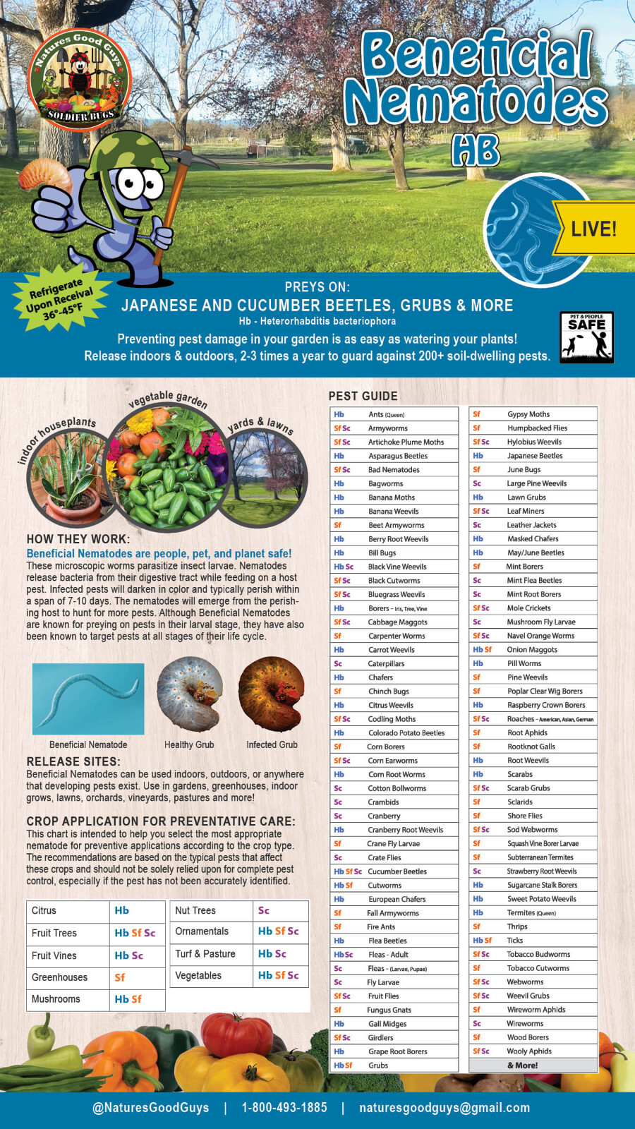 25 Million Beneficial Nematodes HB – Targets Beetles, Grubs & More