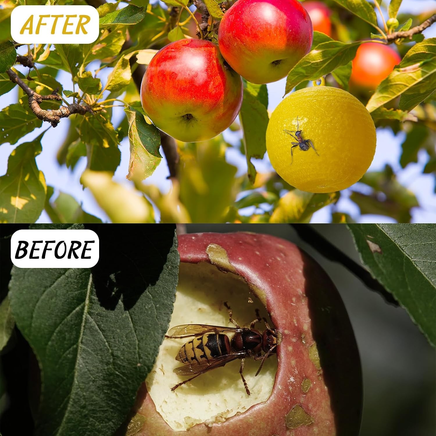 20 Pcs Sticky Fruit Fly Trap Ball Adhesive Fly Catching Ball Sticky Glue Fly