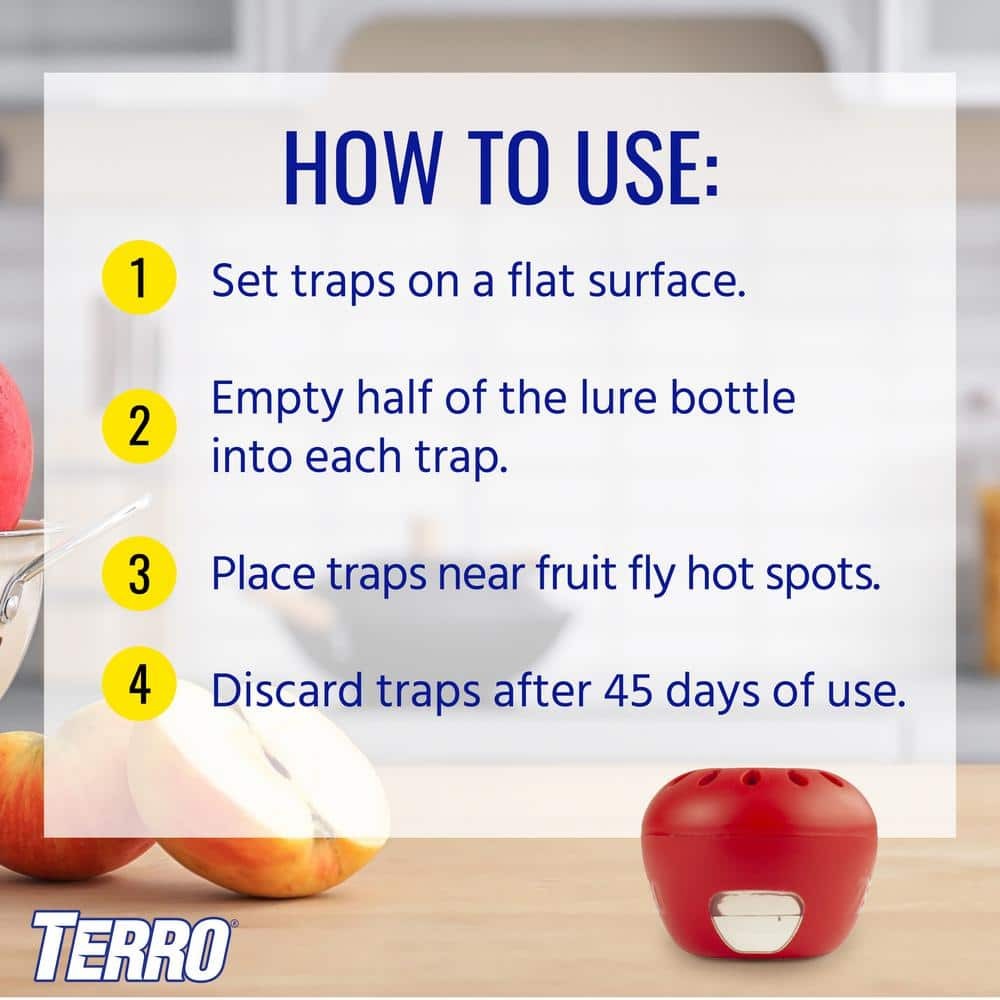 Indoor Fruit Fly Trap (4-Count)