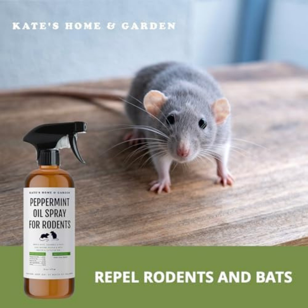 Peppermint Oil Spray, for Rodents Mice Raccoon Bat and, Squirrels Rodent Repelle